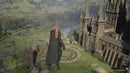 Hogwarts Legacy Deluxe Edition | Steam Key - Código Digital
